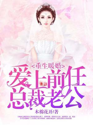 重生暖婚:爱上前任总裁老公